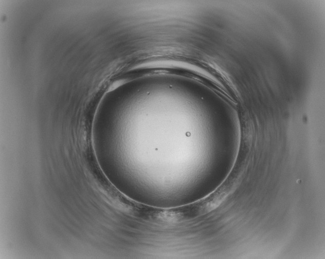 X0000070880261200606191322