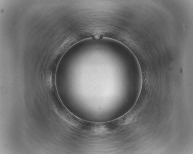 X0000070880262200606191322