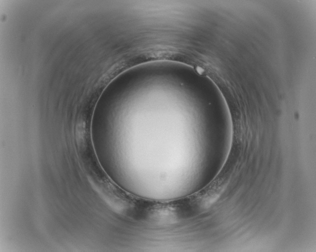 X0000070880263200606191322