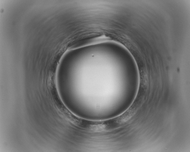 X0000070880266200606191322