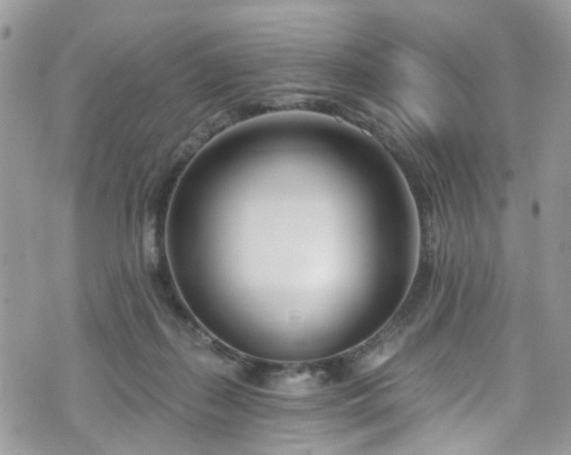 X0000070880267200606191323