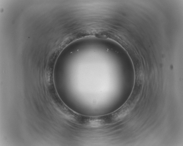 X0000070880268200606191323