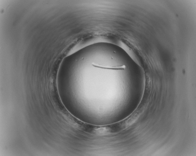 X0000070880269200606191323