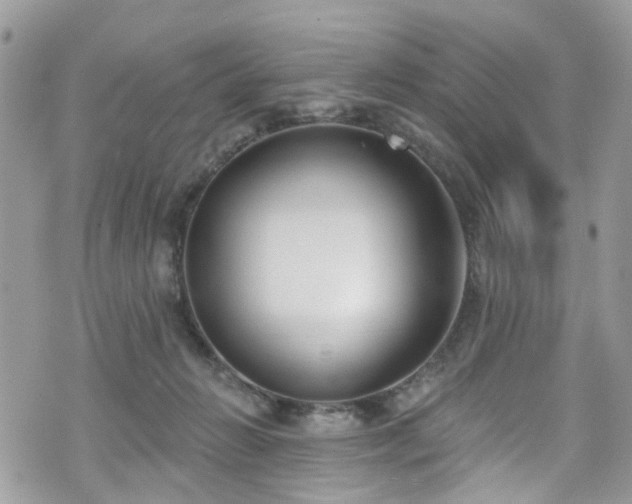 X0000070880270200606191323