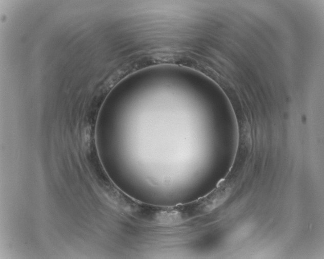 X0000070880271200606191323