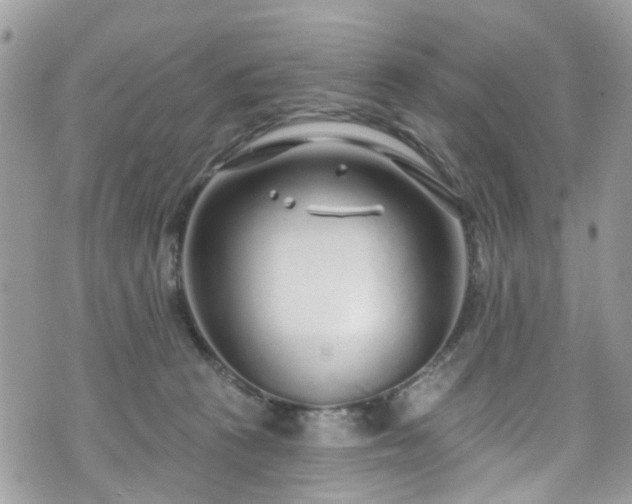 X0000070880273200606191323