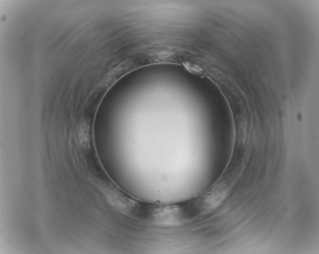 X0000070880274200606191323