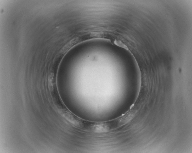 X0000070880275200606191323