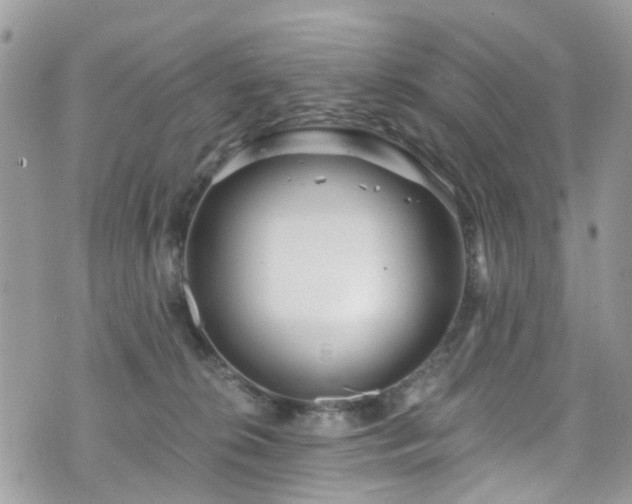 X0000070880276200606191323