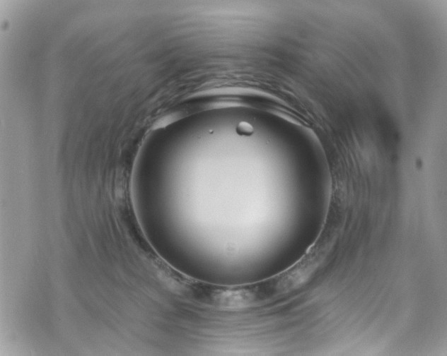 X0000070880277200606191323