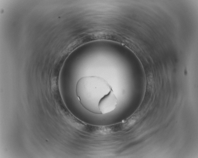 X0000070880278200606191323