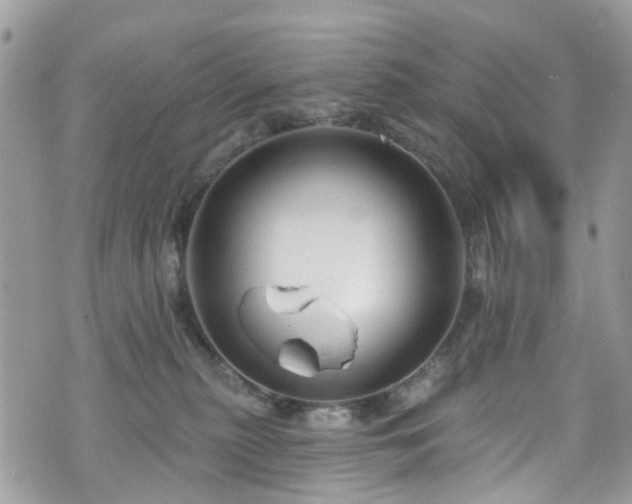 X0000070880279200606191323