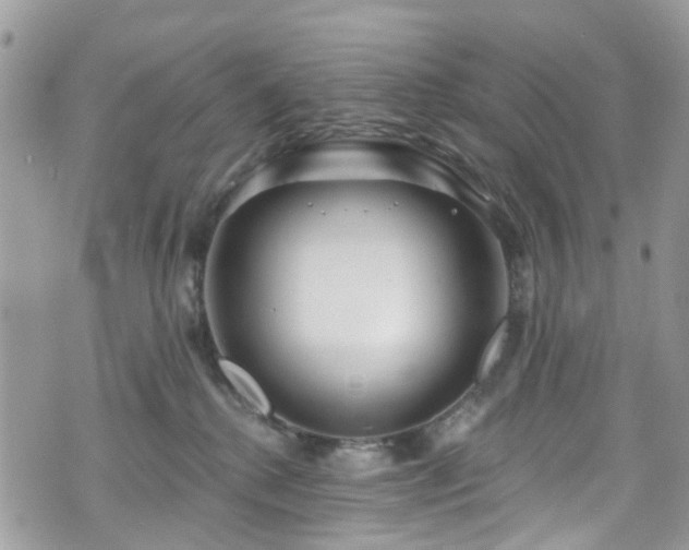 X0000070880280200606191323