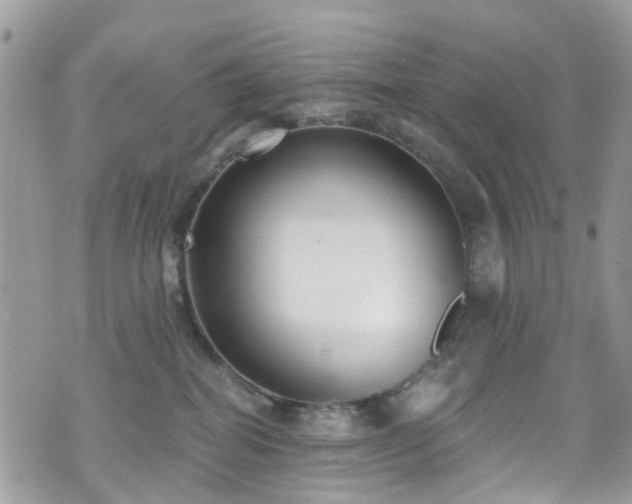 X0000070880282200606191323