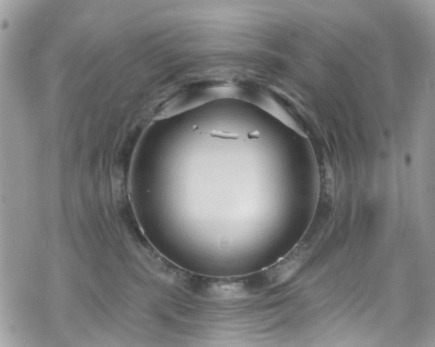 X0000070880283200606191323