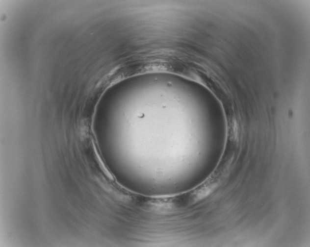 X0000070880284200606191323