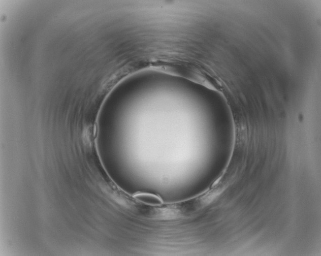 X0000070880286200606191323