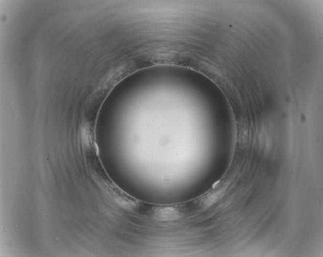 X0000070880287200606191323