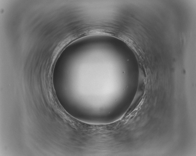 X0000070880289200606191322