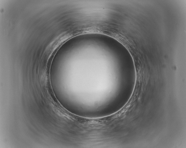 X0000070880290200606191322