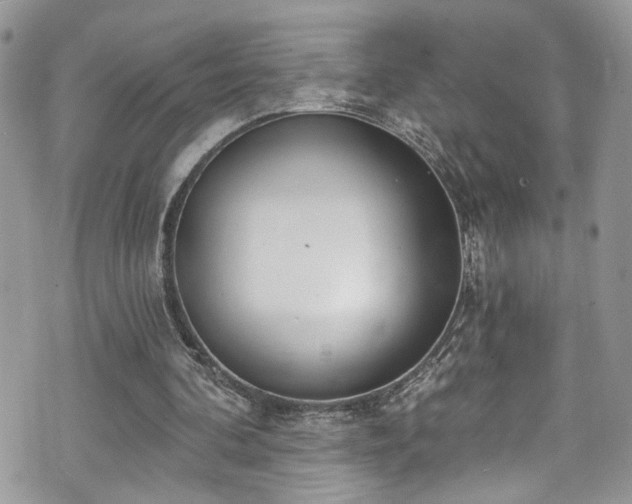 X0000070880292200606191322