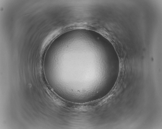 X0000070880293200606191322