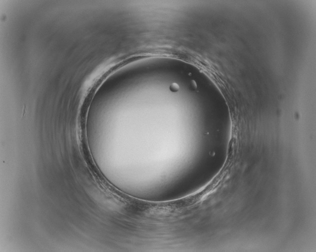 X0000070880294200606191322