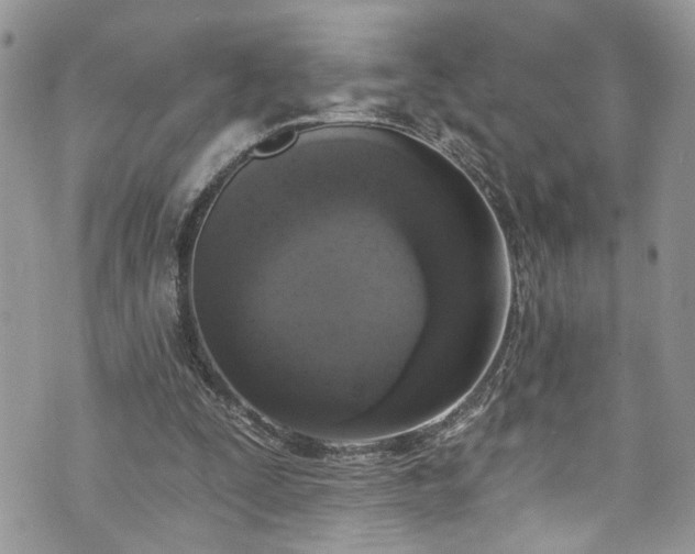 X0000070880295200606191322