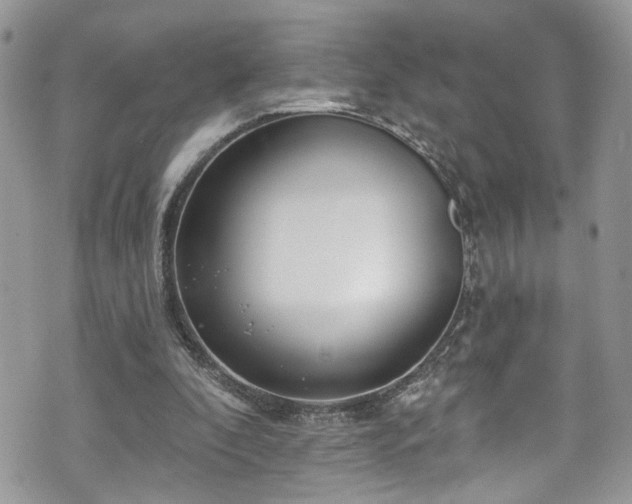 X0000070880296200606191322