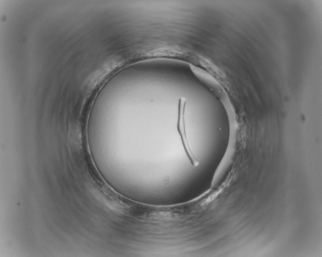 X0000070880298200606191322