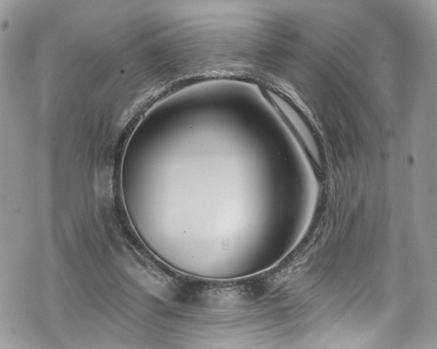 X0000070880299200606191322