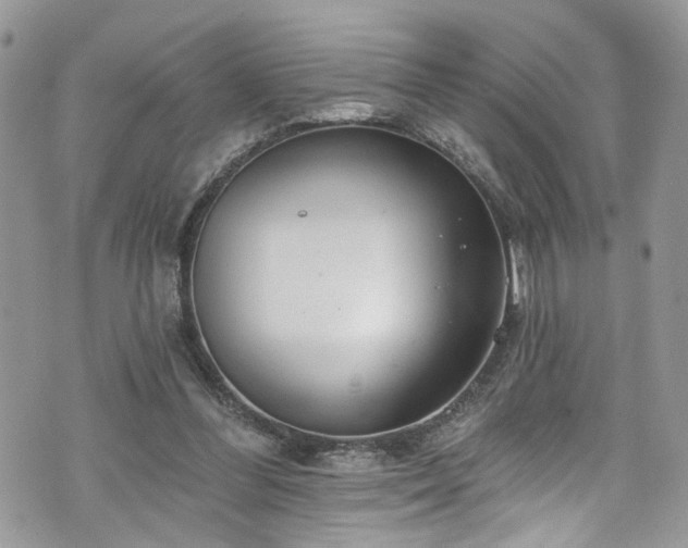 X0000070880300200606191322