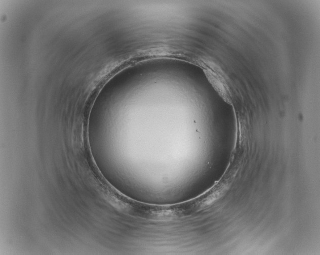 X0000070880301200606191322