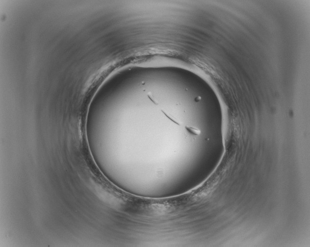 X0000070880302200606191322