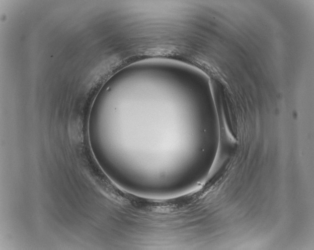 X0000070880303200606191322