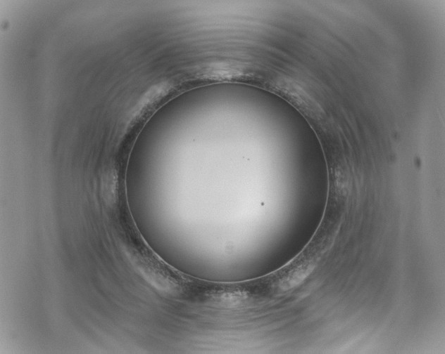 X0000070880304200606191322