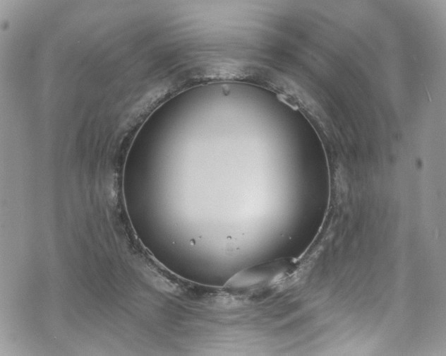 X0000070880305200606191322