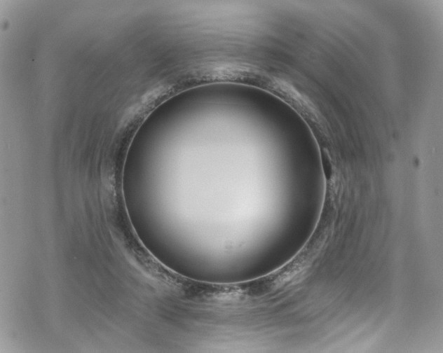 X0000070880306200606191322