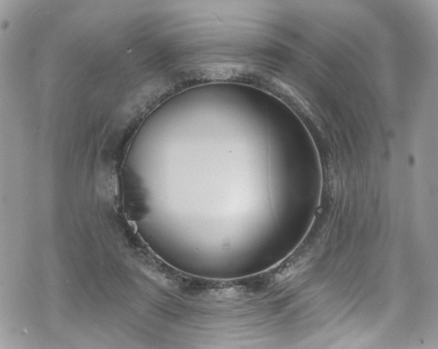 X0000070880307200606191322