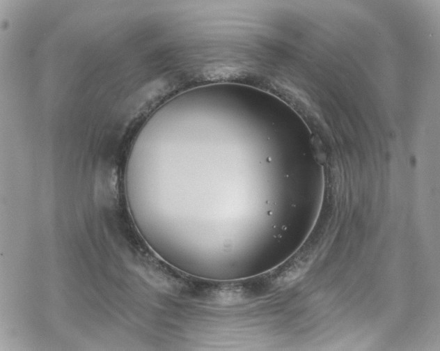 X0000070880308200606191322