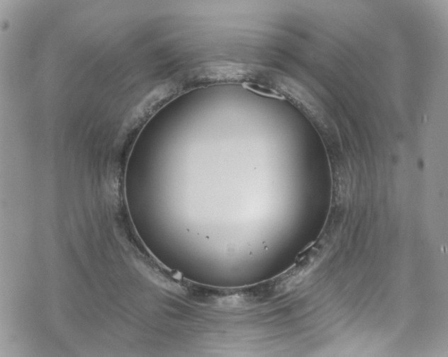 X0000070880309200606191322