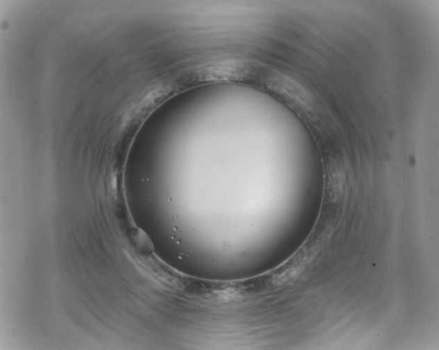 X0000070880310200606191322