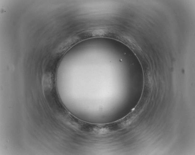 X0000070880311200606191322