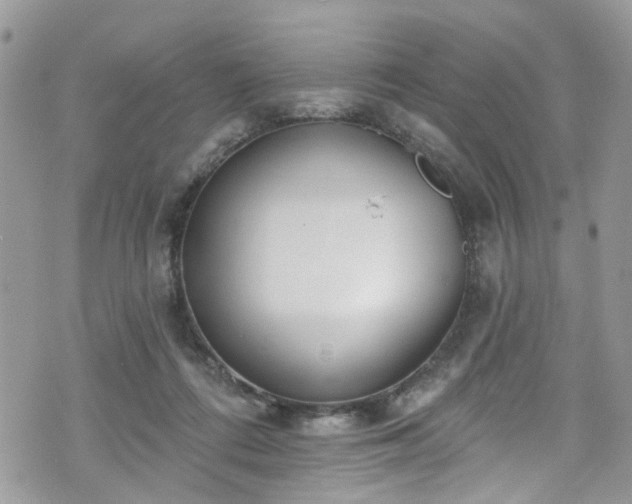 X0000070880312200606191322