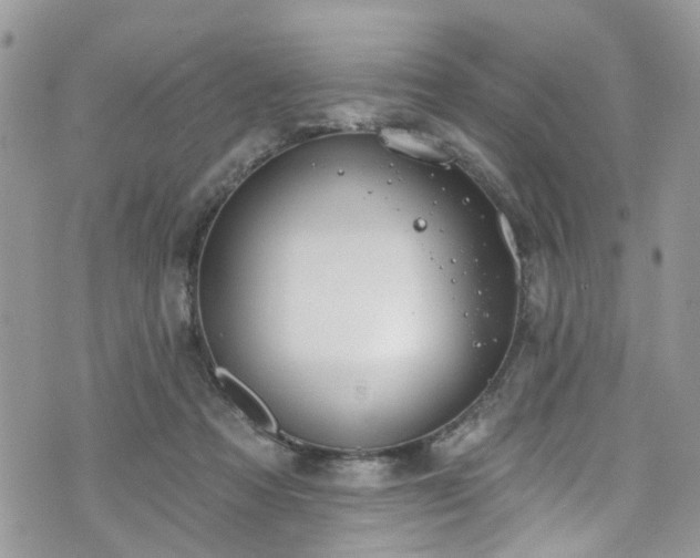 X0000070880313200606191322