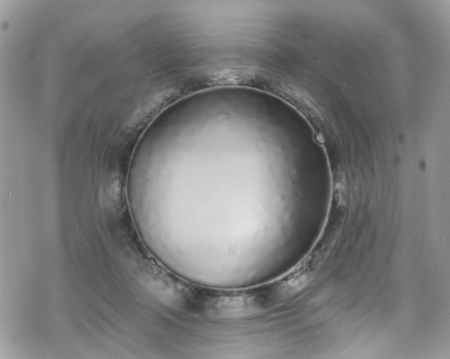 X0000070880314200606191322