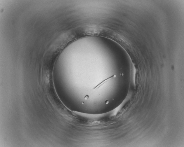 X0000070880315200606191322