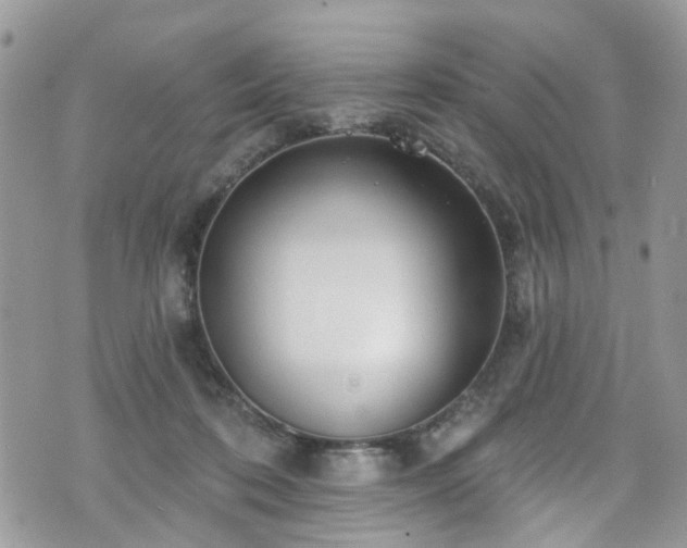 X0000070880316200606191322