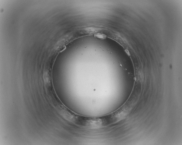 X0000070880317200606191322