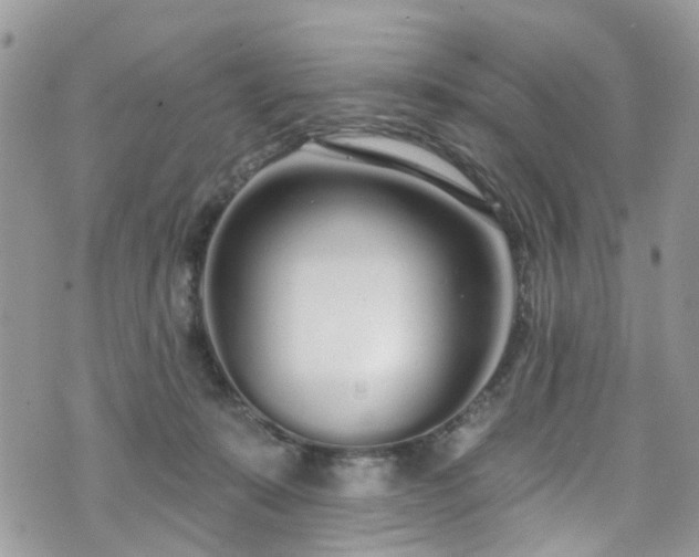 X0000070880319200606191322